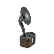 Sangean CP-100