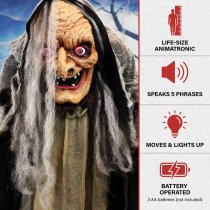 Haunted Hill Farm 63" Animated Standing Witch with Lights and Sound