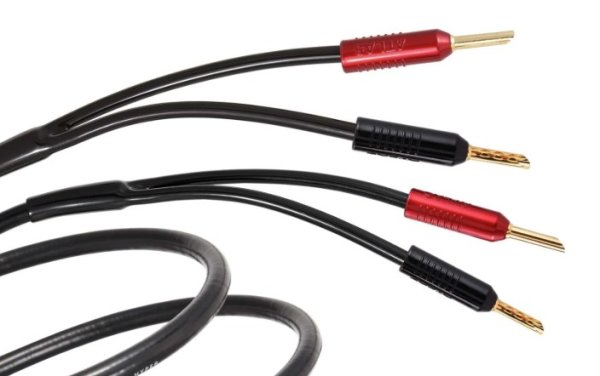 Atlas Hyper Achromatic Speaker Z 2.0 - 3M