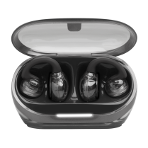 JBL Soundgear Clips - Black