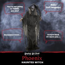 Haunted Hill Farm 69" Animated Witch with Motion, Lights and Sound