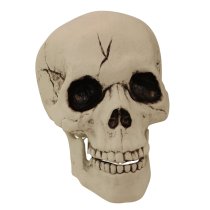 Haunted Hill Farm Life-Size Ground-Breaking Skeleton Yard Decoration