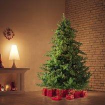 Fraser Hill Farm 7.5-ft. Foxtail Pine Green Artificial Christmas Tree, with Multi Color Lights - Green