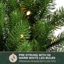 Fraser Hill Farm 9 ft Grandland Artificial Christmas Garland with Warm White LED Lights - Green