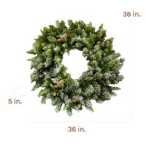 Fraser Hill Farm 36-inch Frosted Wreath - Green