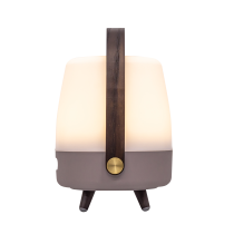 Lite-up PLAY Mini - Earth